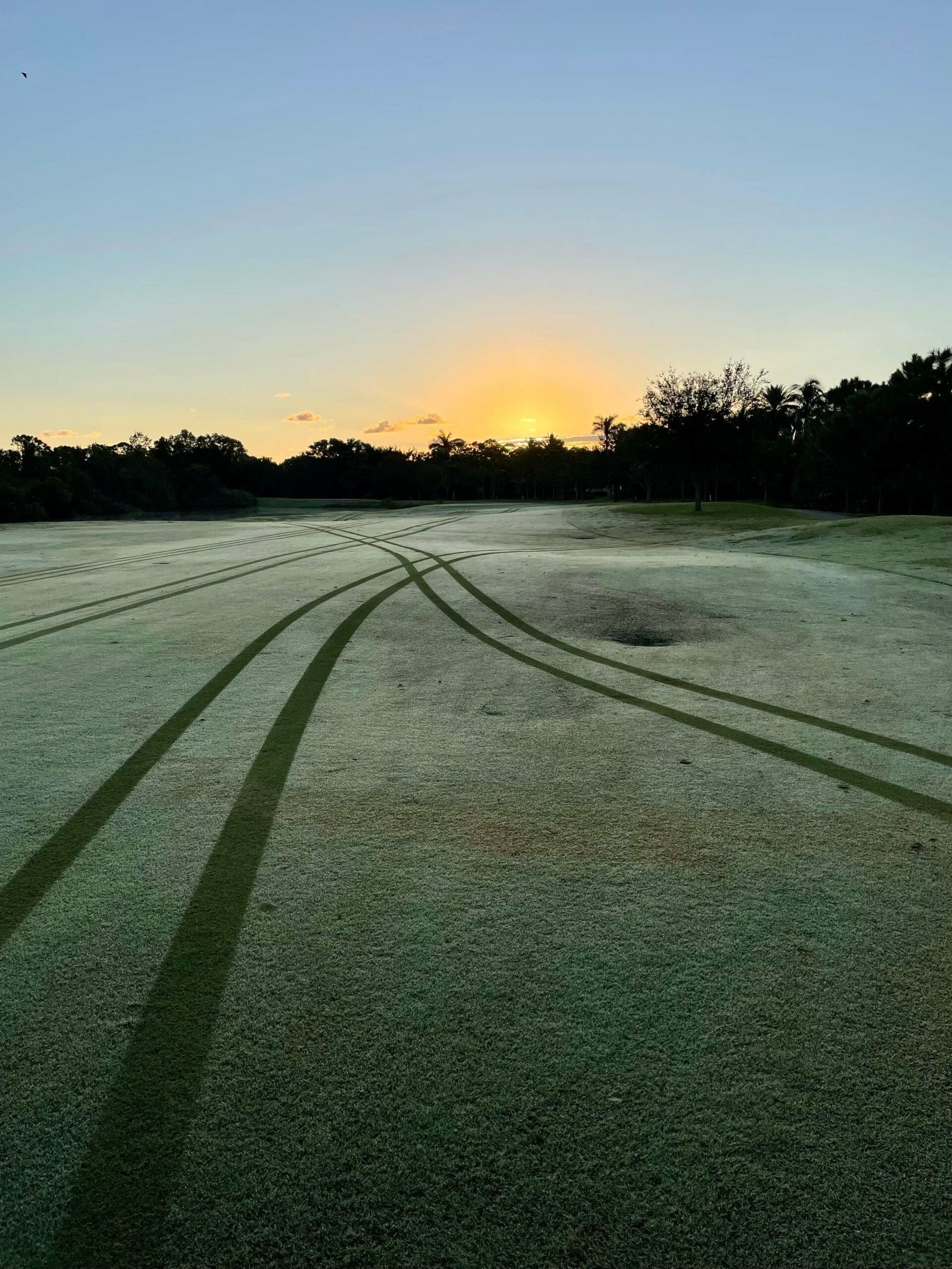 Dew on golf course