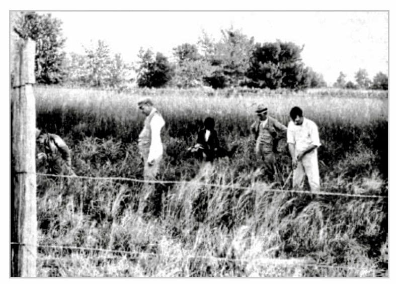 chicago golf course 1894