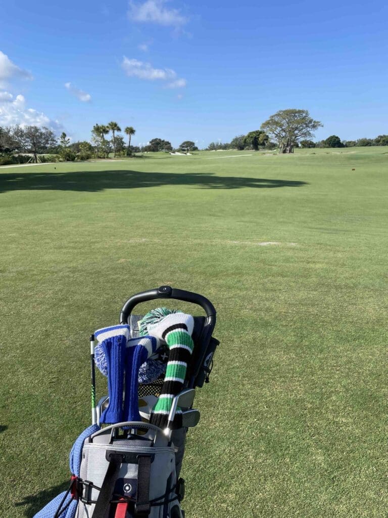 view at the first tee the park west palm